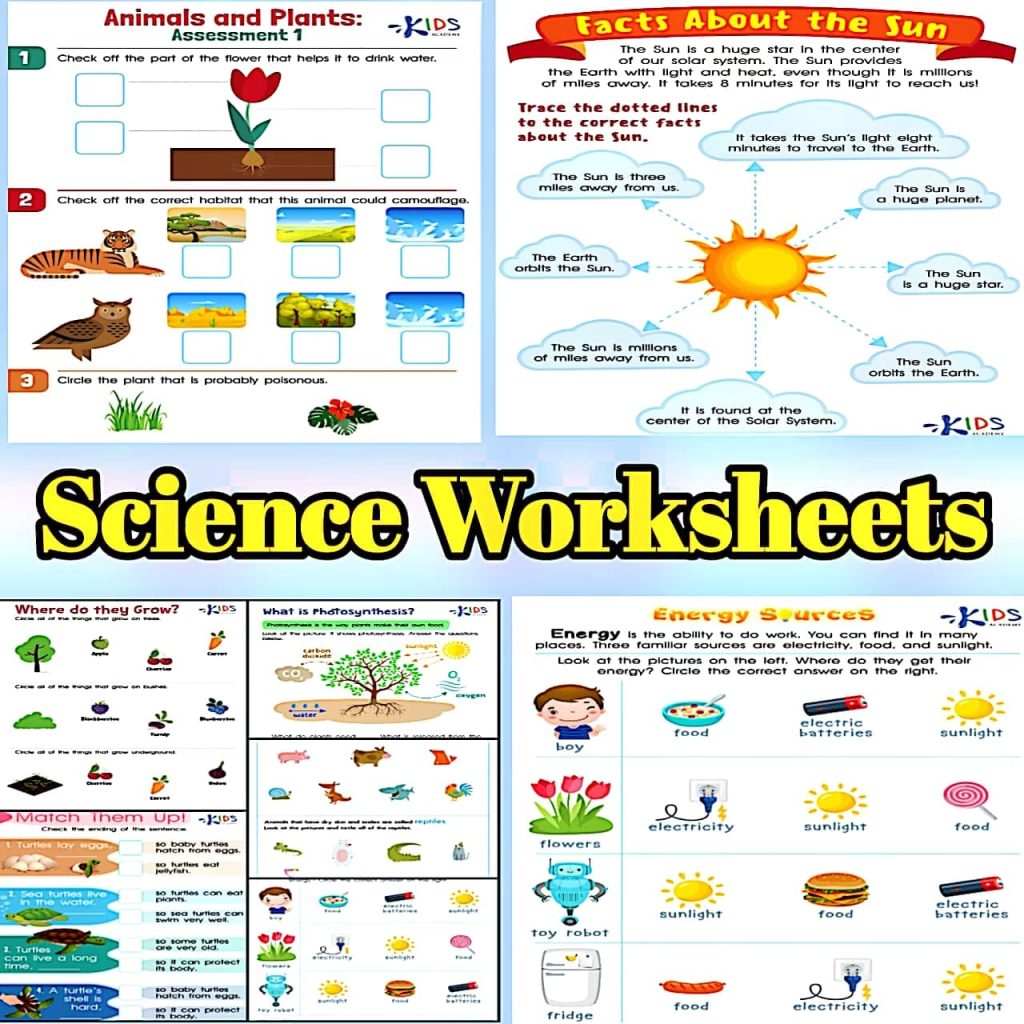 Science Worksheets for Grade 1